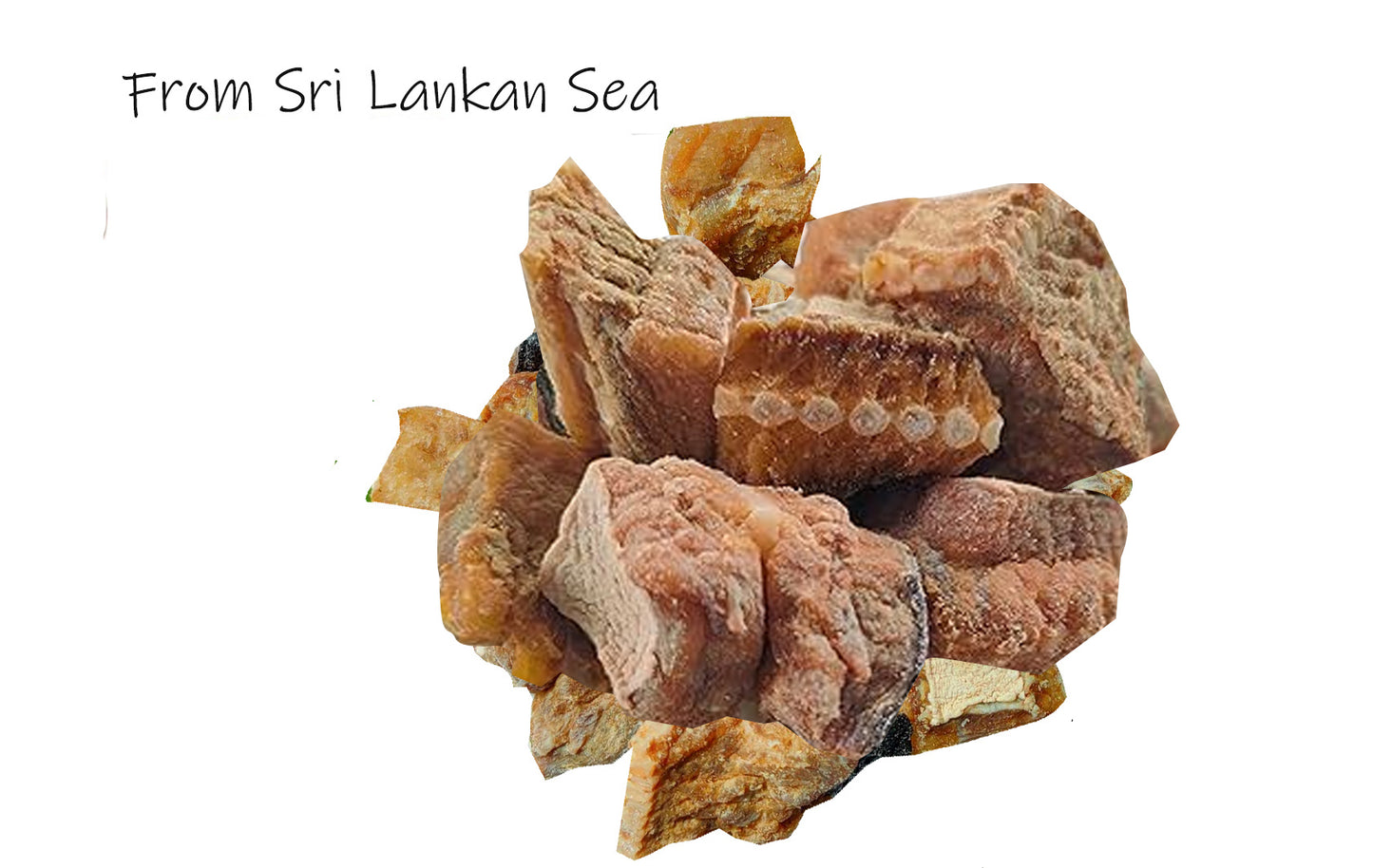 Dry Stingray Fish (Dry Madu) 200g