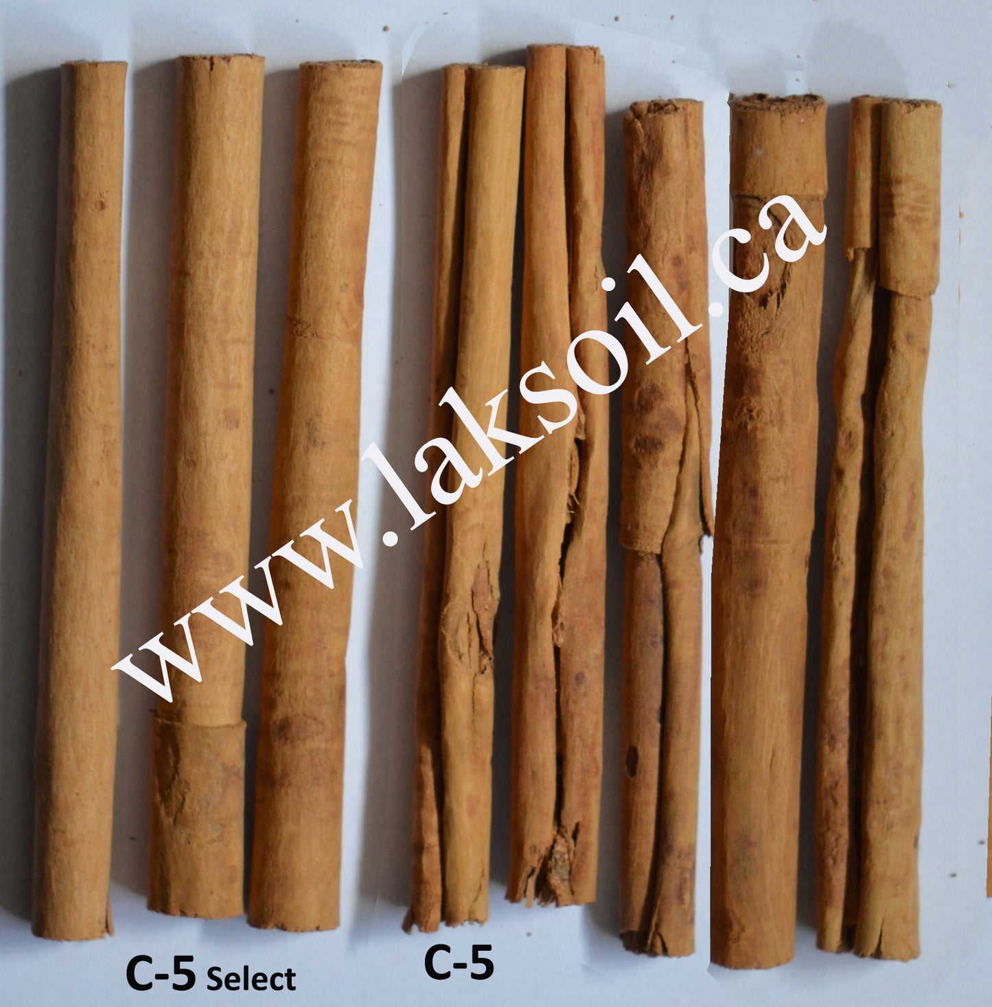 Organic Ceylon Cinnamon Premium Grade Sticks