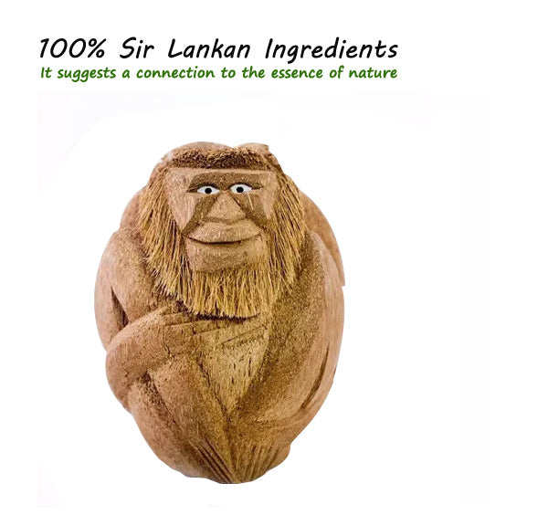 Handkraft Coconut Husk Monkey
