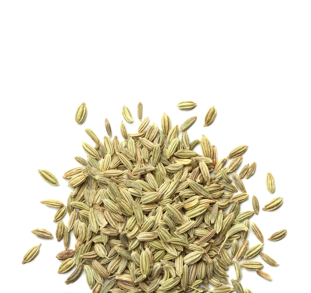 Fennel Seeds