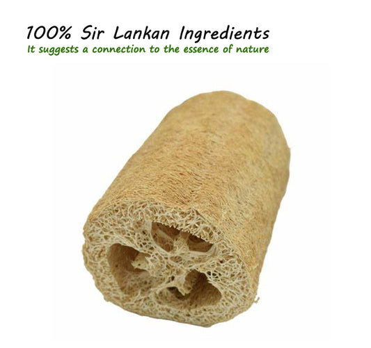 Eco Friendly Natural loofah sponge 12cm