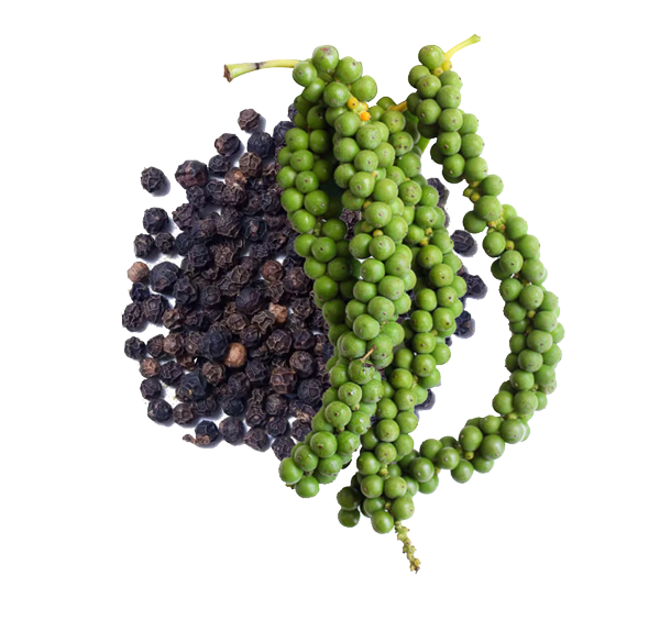 Organic Ceylon Premium Grade Ceylon Black Peppercrons 454g/1LB