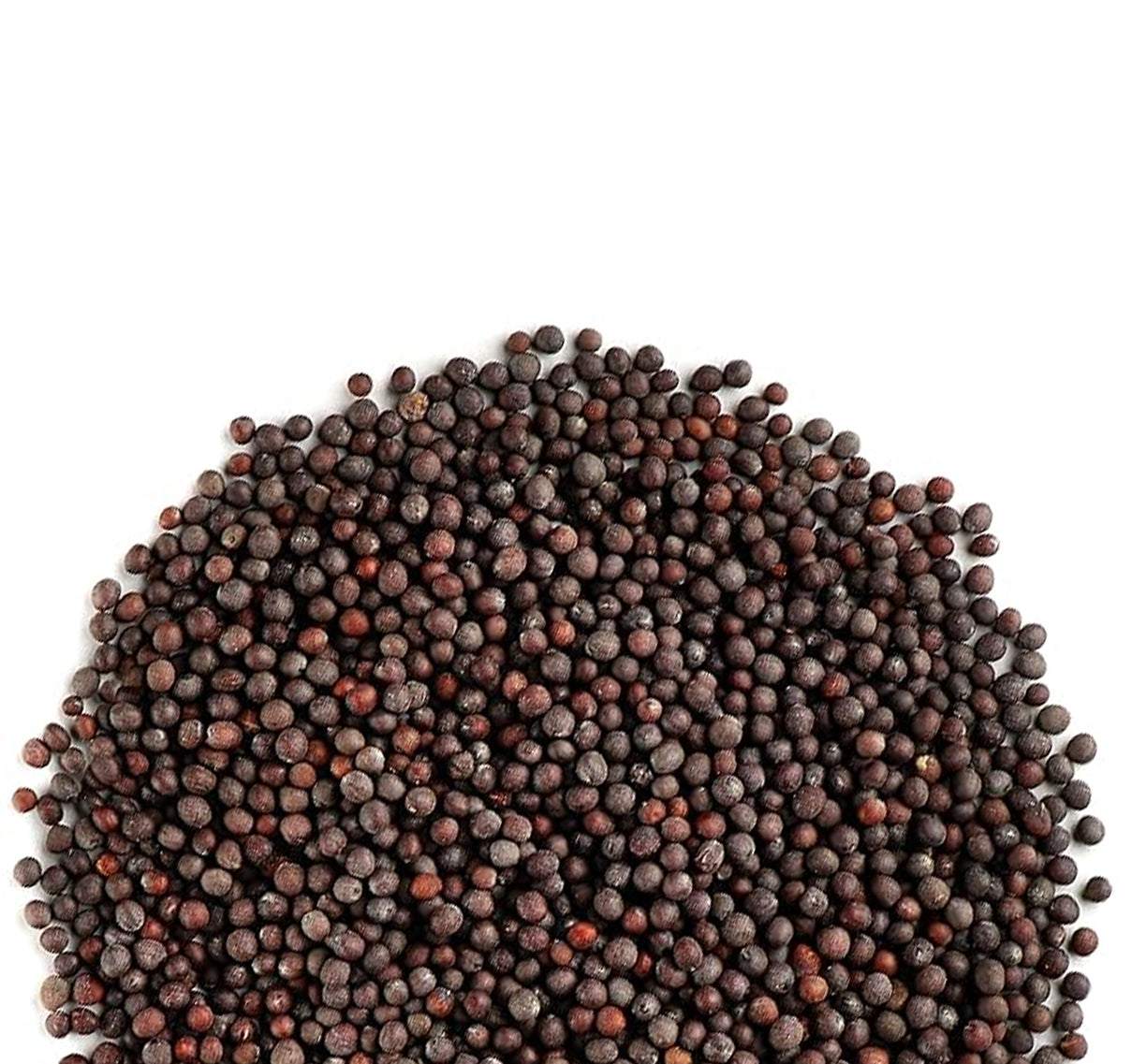 Black mustard seeds