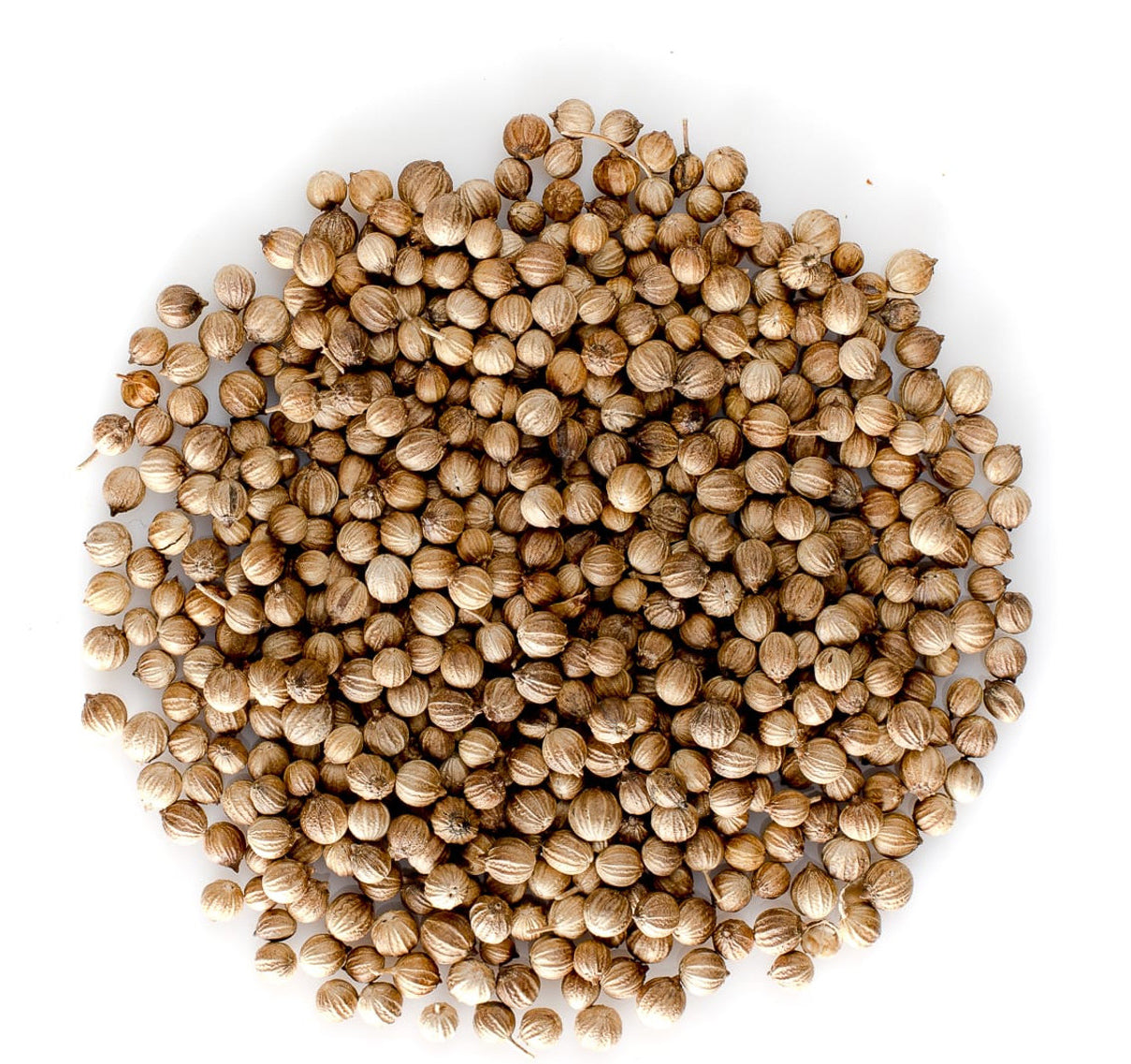 Coriander Seeds (Badami or Eagle grades)