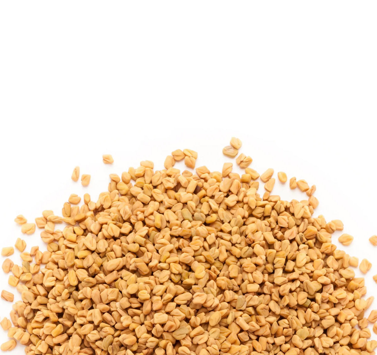 Fenugreek Seeds
