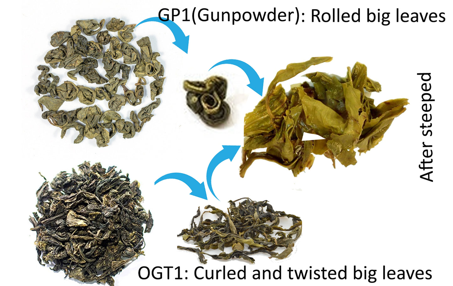 Organic Pure Ceylon Green  GP1  (Big Rolled Leaves) Premium leafy Tea-Kanday Tea