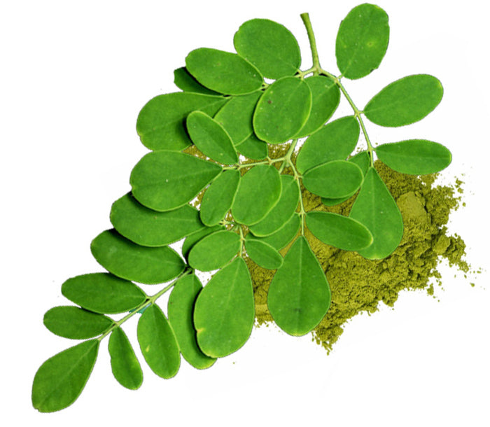 Certified ORGANIC Moringa Powder