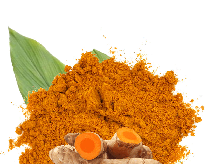 Eco-friendly Ceylon Turmeric Powder 114g/4pz
