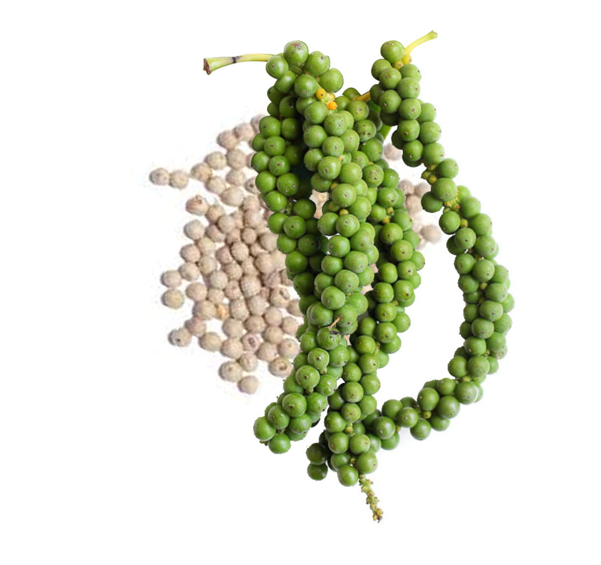 Eco-friendly Ceylon White Peppercrons 114g4oz