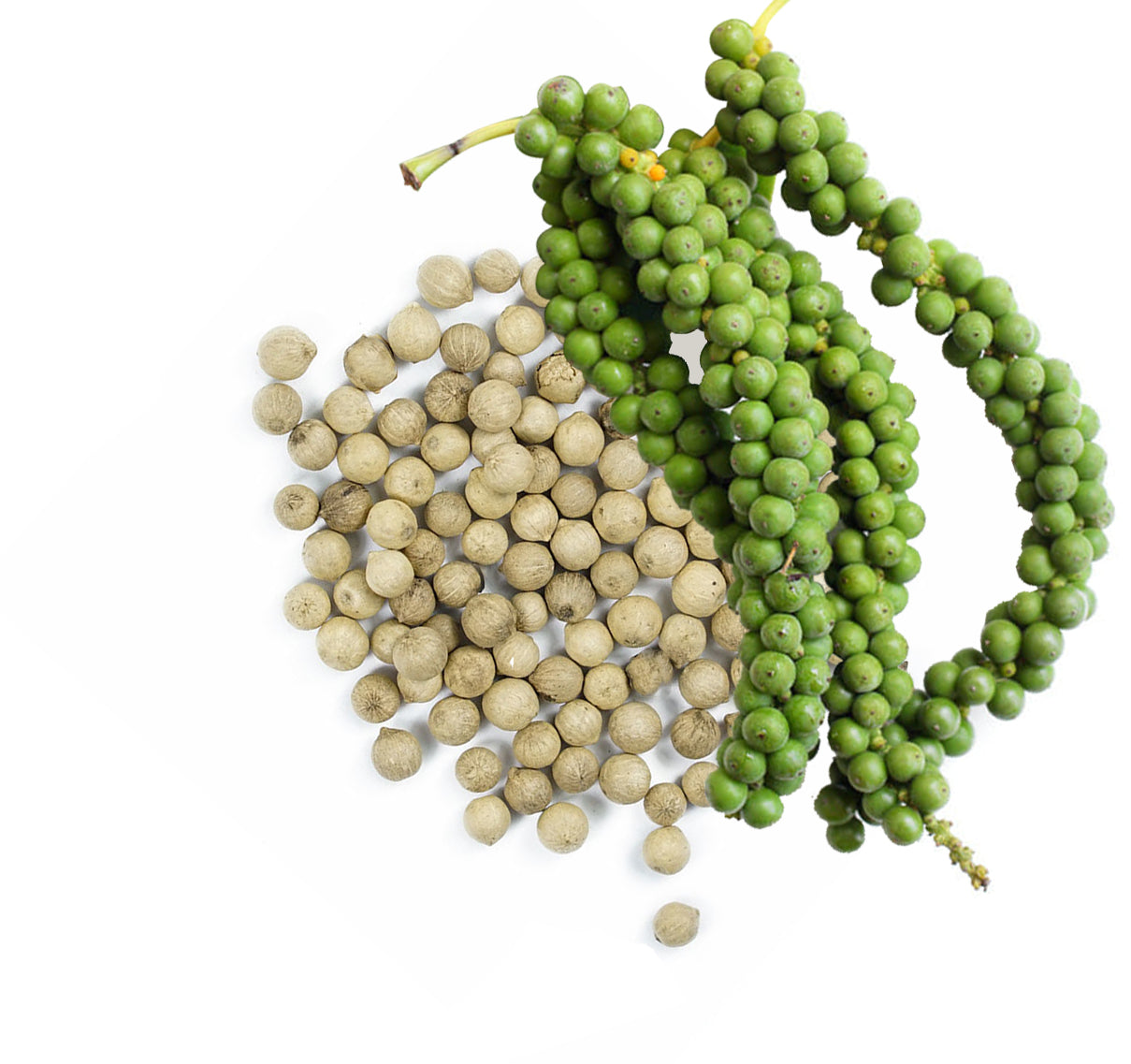 Organic Ceylon Premium Grade Ceylon White Peppercrons 114g/4oz